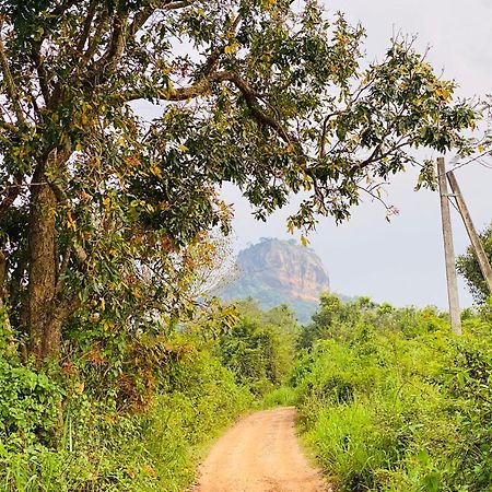 Hotel Sigiriya Kele المظهر الخارجي الصورة