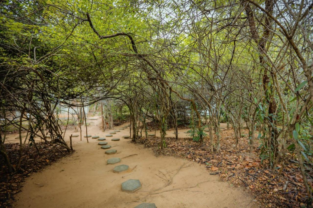 Hotel Sigiriya Kele المظهر الخارجي الصورة
