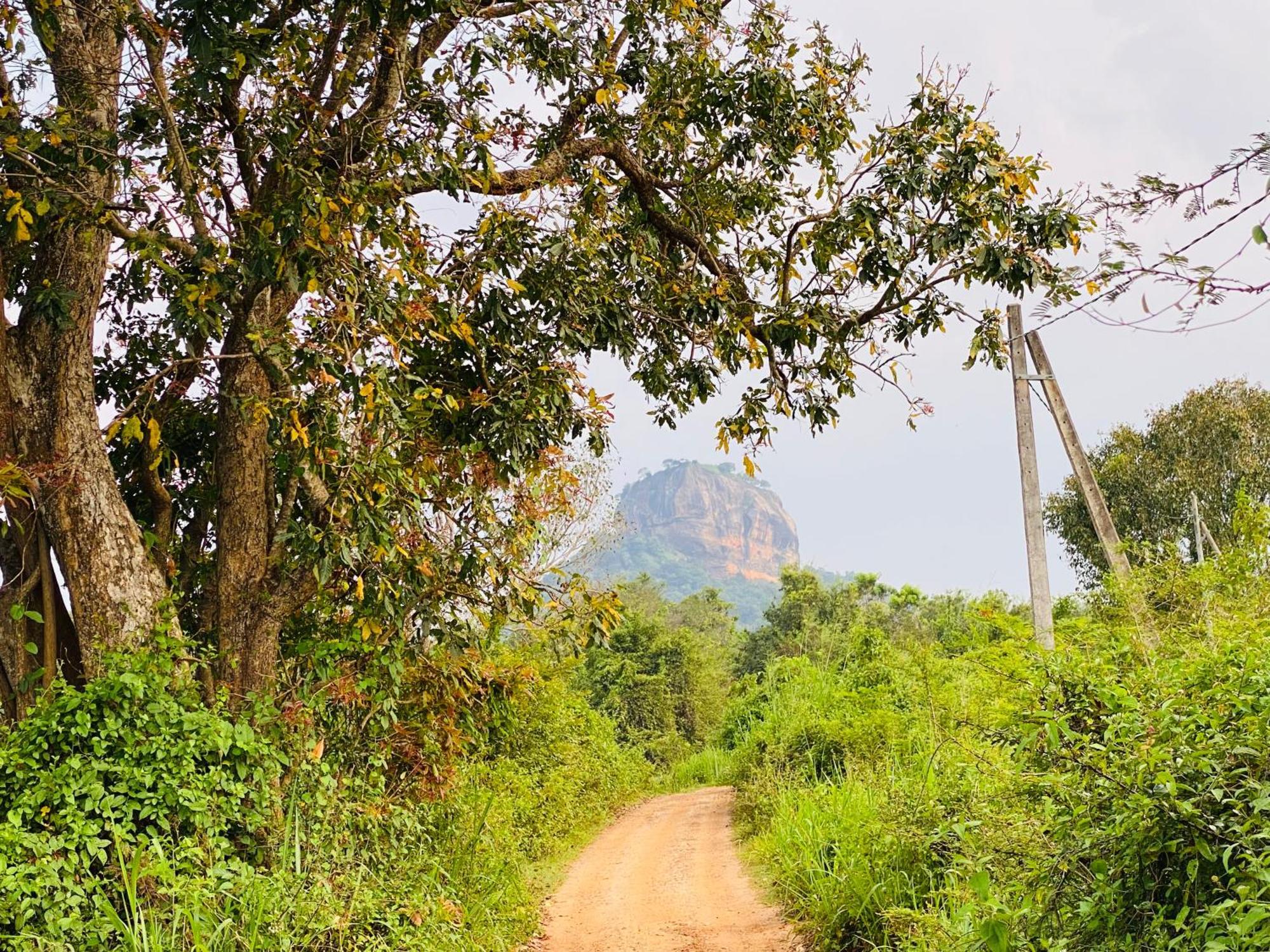 Hotel Sigiriya Kele المظهر الخارجي الصورة