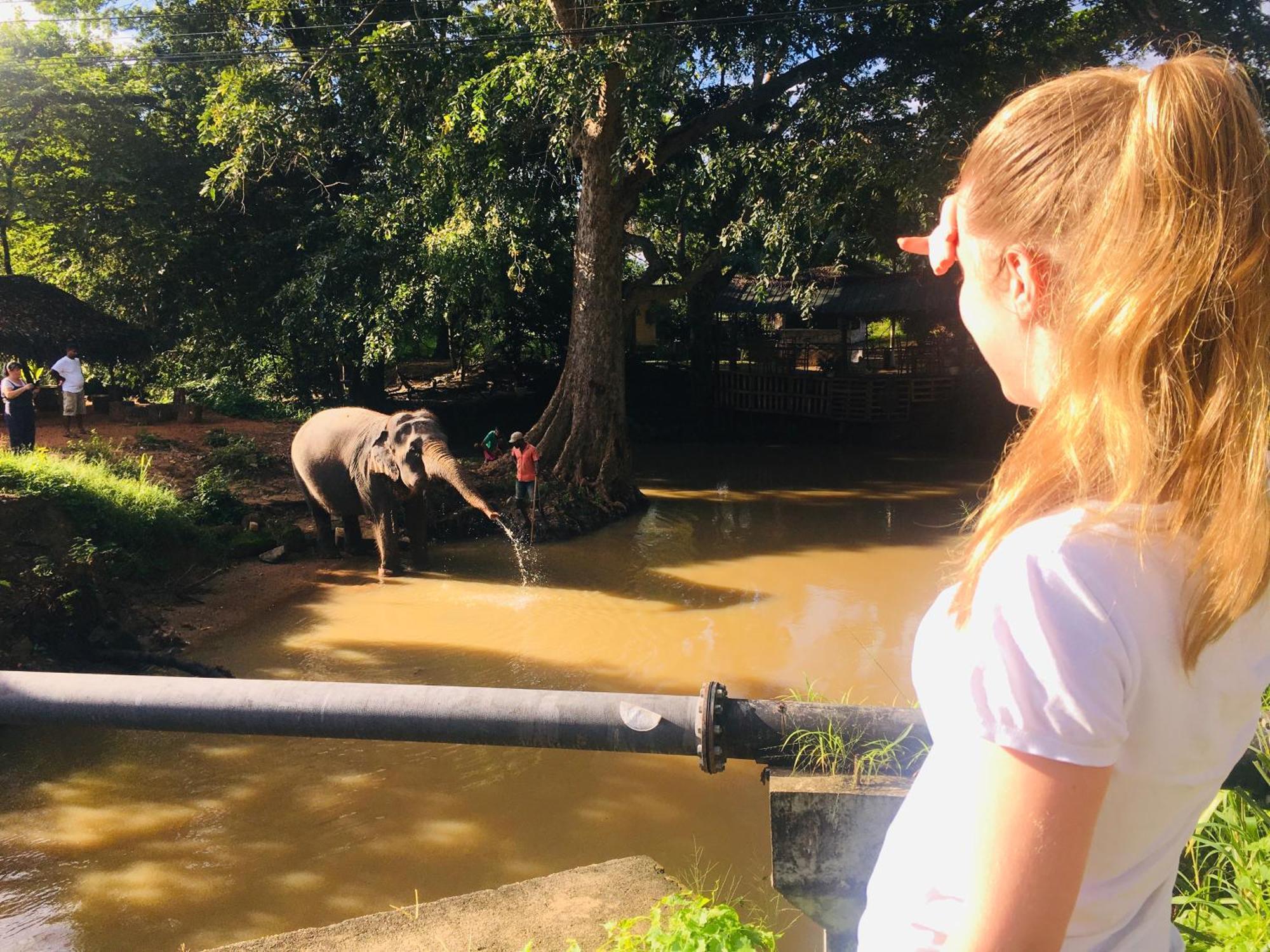 Hotel Sigiriya Kele المظهر الخارجي الصورة